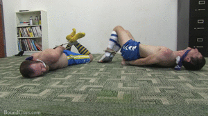 www.boundguys.com - Blue Team Hog Tied thumbnail