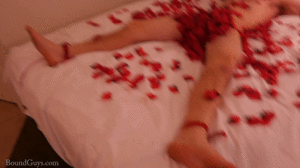 www.boundguys.com - Rose Petals thumbnail